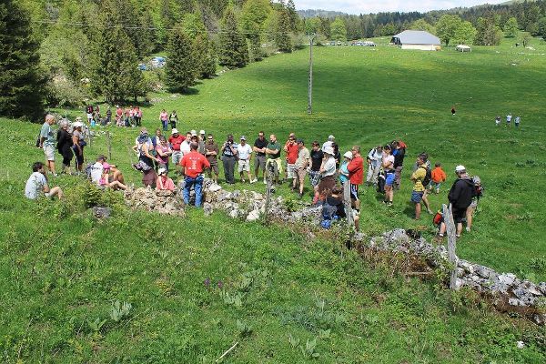 Animation restauration de murs de pierres au f'ESTIV'al 2012 - © mai 2012 - J. Siess