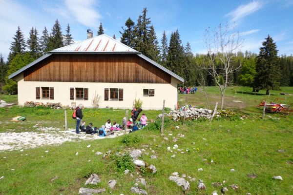 Animation scolaire Chez Mimi - © juin 2013 - C. Mathey