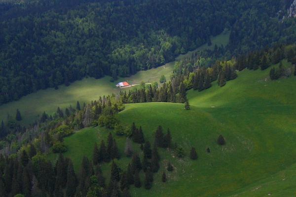 La ferme de la Jougnenaz - &copy; juin 2006 - I. Poirot