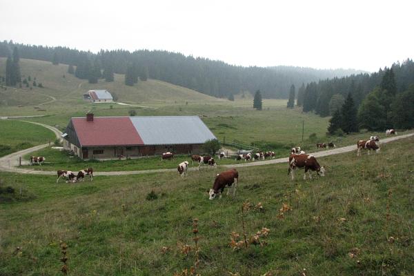 Les Baties - &copy; septembre 2009 - K. Adamova