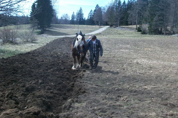 Labourage à la Petite Echelle - © mars 2012 - N. Bournez