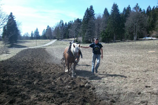 Labourage à la Petite Echelle - © mars 2012 - N. Bournez