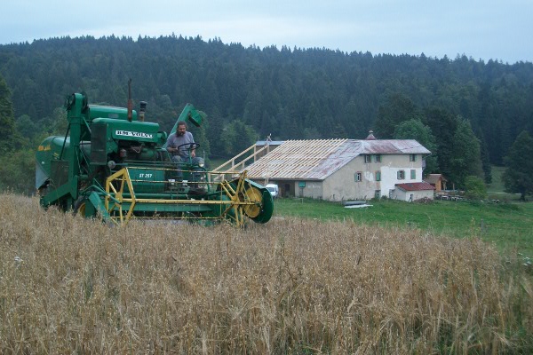 Moisson à la Petite Echelle - © septembre 2012 - N. Bournez