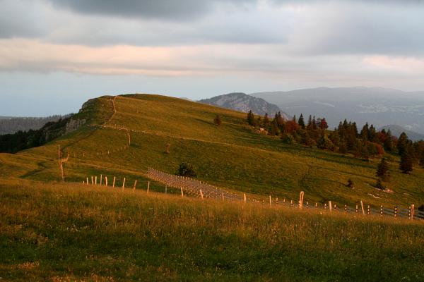 Sur les crêtes du Mont-d'Or - &copy; juin 2006 - P.M. Aubertel