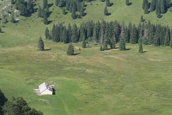 Chalet du Creux de Croue - &copy; août 2010 - P.M. Aubertel