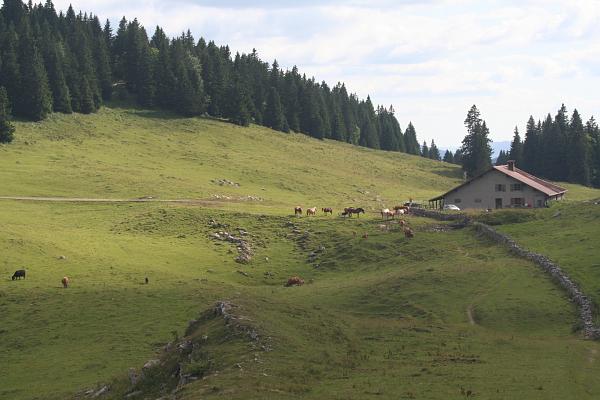 Ferme d'Arzier - &copy; août 2010 - P.M. Aubertel