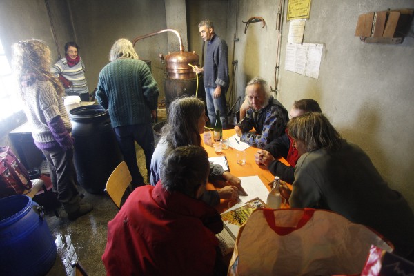 Distillation de la gentiane - © décembre 2012 - P.M. Aubertel