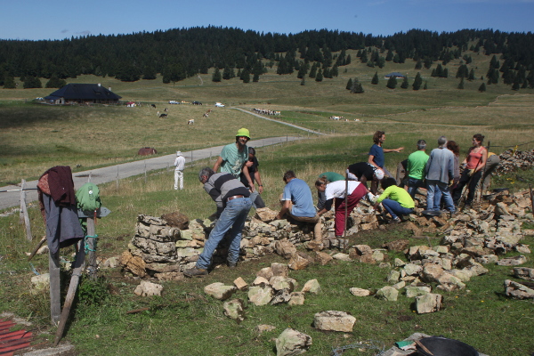 Cours sur les murs en pierres sèches au Grand Sonnailley - © août 2015 - P.M. Aubertel