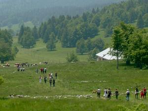 Festival à l'alpage